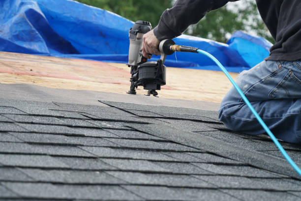 Best Storm Damage Roof Repair  in Penitas, TX